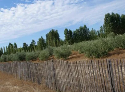 Promenades en nature à Aigues-Mortes dans le Gard en Camargue 30