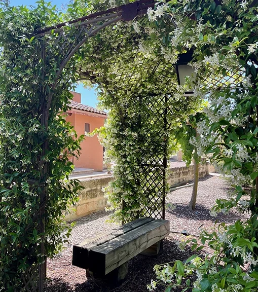 Oliveraie de Paul : location gites avec piscine, tennis à Aigues-Mortes (30), petite Camargue