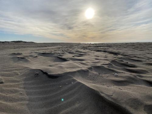 Aigues-Mortes & les alentours