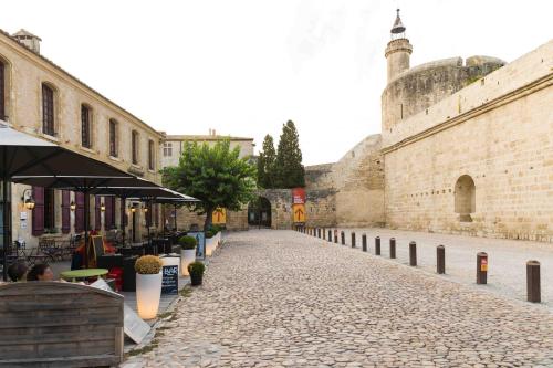 Aigues-Mortes & les alentours