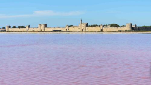 Aigues-Mortes & les alentours