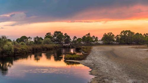 Aigues-Mortes & les alentours