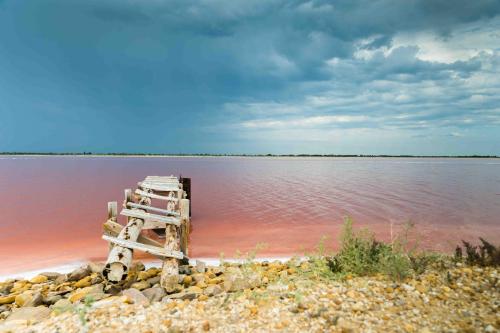 Aigues-Mortes & les alentours