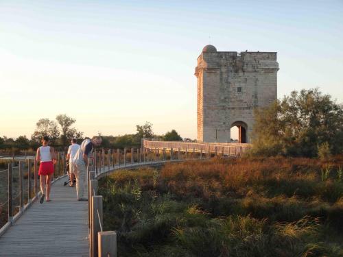 Aigues-Mortes & les alentours