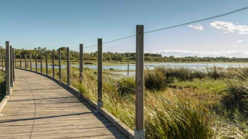 Aigues-Mortes & les alentours