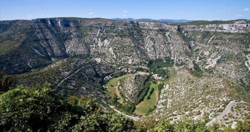 Aigues-Mortes & les alentours