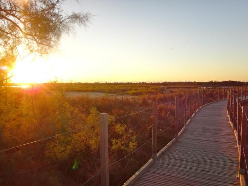 Aigues-Mortes & les alentours