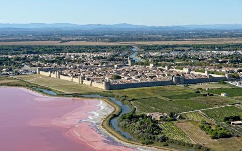 Aigues-Mortes & les alentours