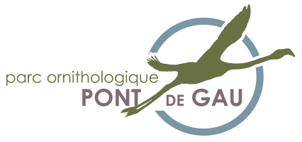 Parc Ornithologique Pont de Gau Parc Ornithologique Pont de Gau